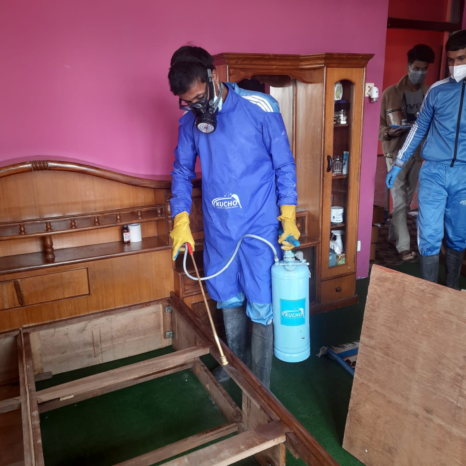 Professional Bed Bug Treatment Service | Kucho